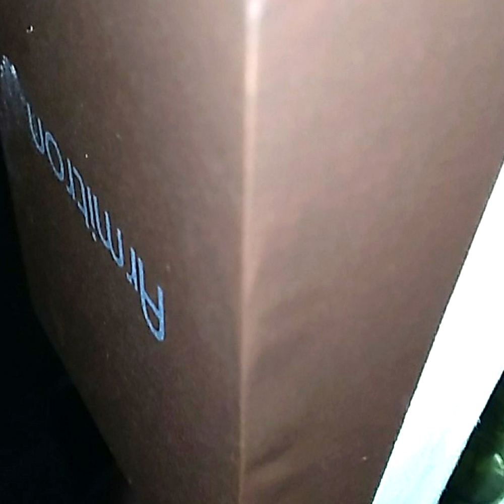 New Armitron Watch